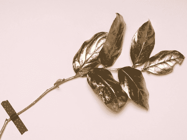 小黑ddos压力测试平台